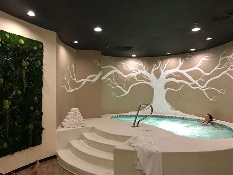 day spa northern virginia